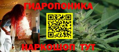 сатива Малгобек