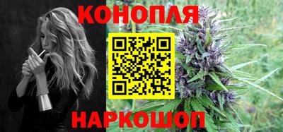 сатива Малгобек