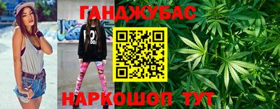 сатива Малгобек
