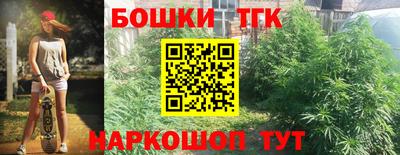сатива Малгобек