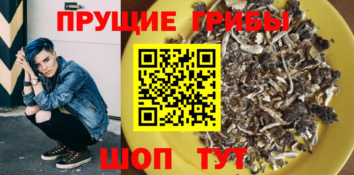 Галлюциногенные грибы прущие грибы  Галлюциногенные грибы мицелий  Саранск  Вход с VPN 
