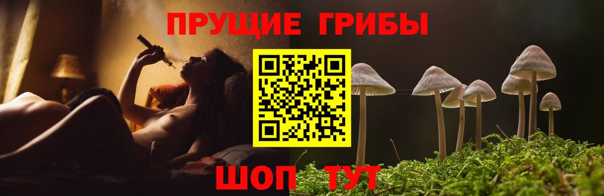 Галлюциногенные грибы мухоморы Саранск